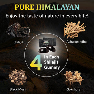 Best Naturtals Pure Himalayan Shilajit Gummies - 60 ct - Made with Ashwagandha, Black Musli, and Gokshura