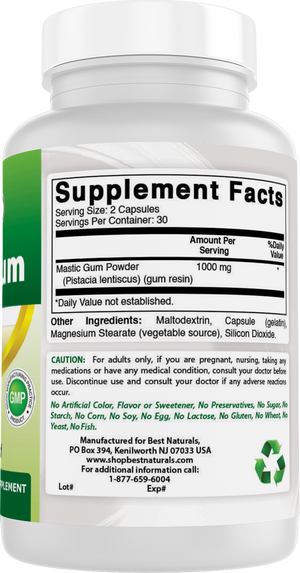 Best Naturals Mastic Gum 500 mg 60 Capsules