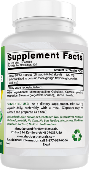 Best Naturals Ginkgo Biloba 120 mg 120 Capsules