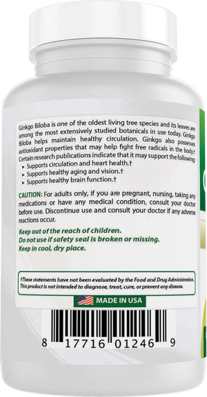 Best Naturals Ginkgo Biloba 120 mg 120 Capsules