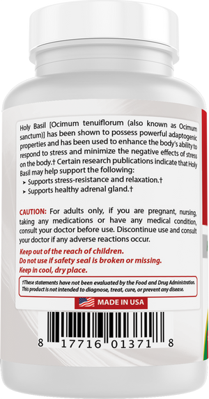 Best Naturals Holy Basil Extract 500 mg 120 Vegetarian Capsules