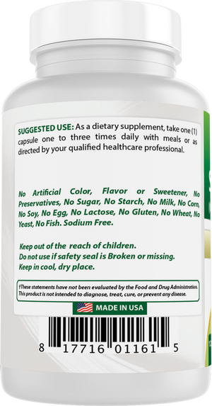 Best Naturals Super Gymnema Sylvestre 500 mg 120 Vegetarian Capsules