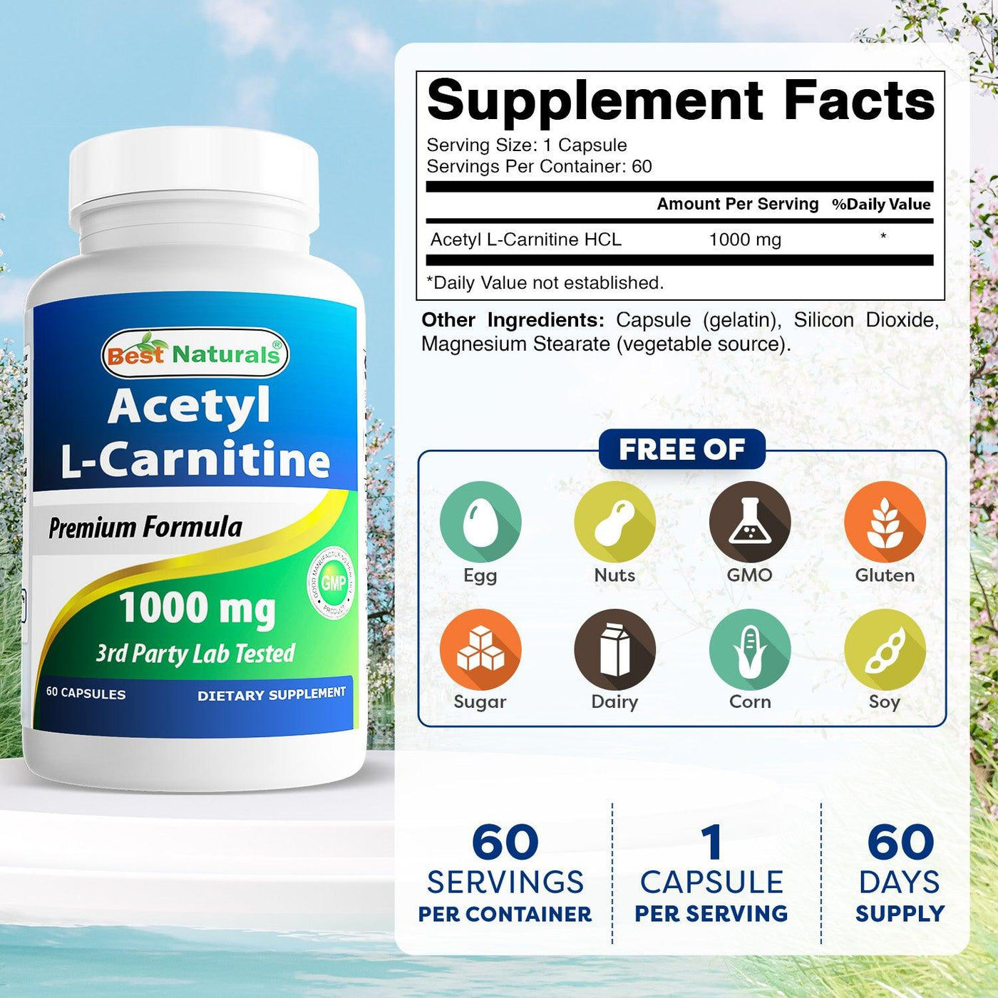 Best Naturals Acetyl L-Carnitine 1000 mg 60 Capsules shopbestnaturals.com Best Naturals Acetyl L-Carnitine 1000 mg 60 Capsules shopbestnaturals.com