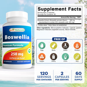 Best Naturals Boswellia 250 mg 120 Capsules