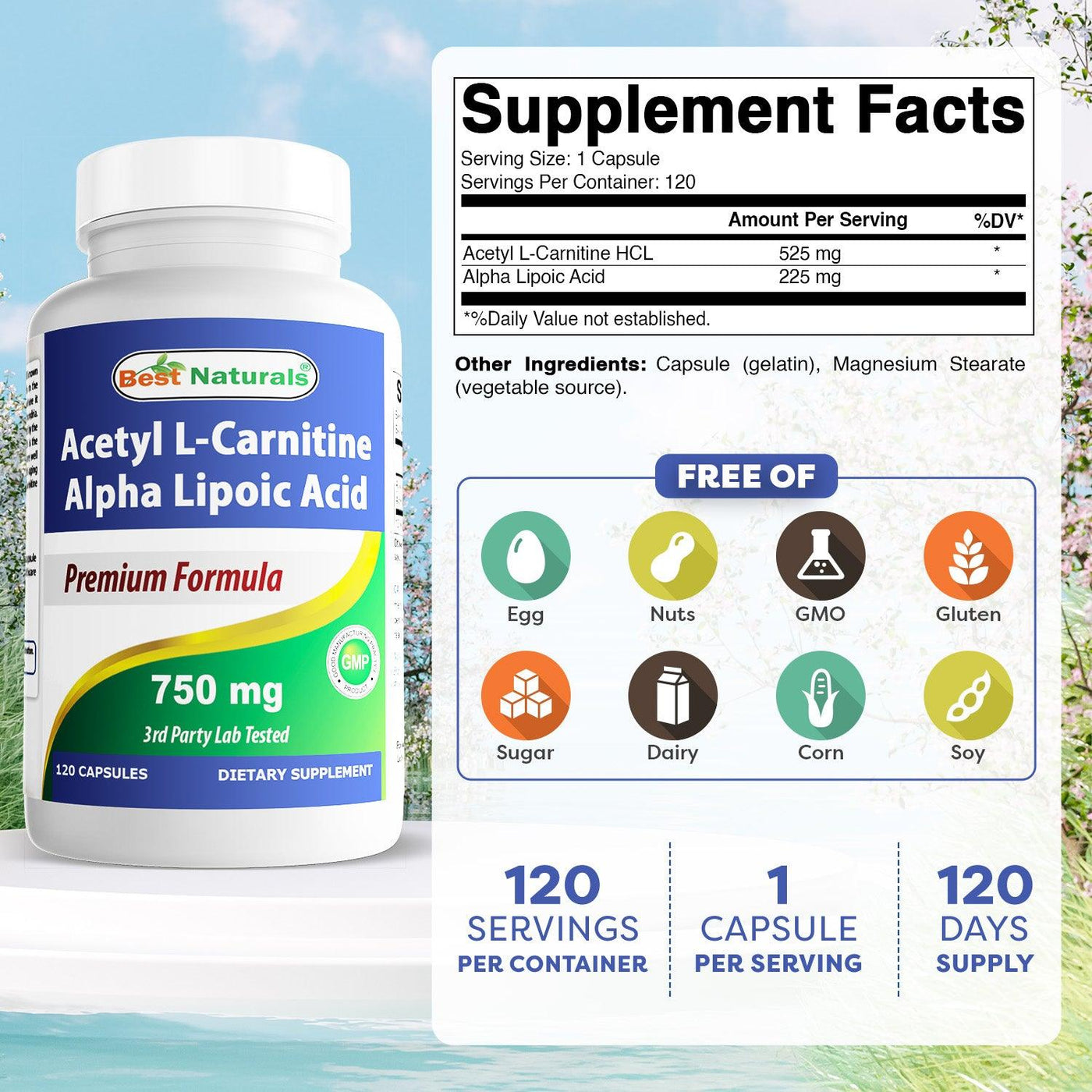 Best Naturals Acetyl L-Carnitine Alpha Lipoic Acid 750 mg 120 Capsules shopbestnaturals.com Best Naturals Acetyl L-Carnitine Alpha Lipoic Acid 750 mg 120 Capsules shopbestnaturals.com