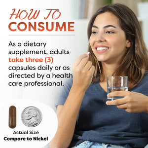 Best Naturals Cat's Claw 500 mg 240 Capsules
