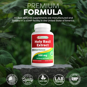 Best Naturals Holy Basil Extract 500 mg 120 Vegetarian Capsules