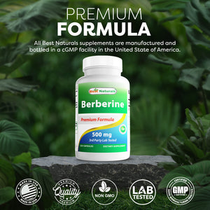 Best Naturals Berberine 500mg 120 Capsules - Supports Immune Function, Cardiovascular & Gastrointestinal Function