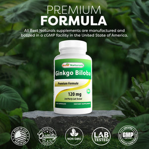 Best Naturals Ginkgo Biloba 120 mg 120 Capsules