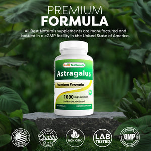 Best Naturals Astragalus Extract 1000mg 120 Capsules