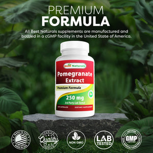 Best Naturals Pomegranate 250 mg 120 Capsules