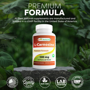 Best Naturals L-Carnosine 500 mg 100 Vegetarian Capsules