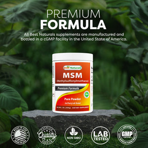 Best Naturals MSM 1 Lb Pure Powder