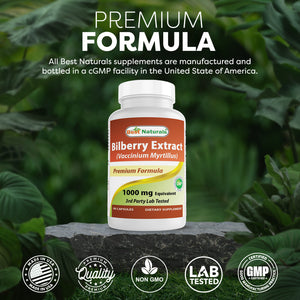 Best Naturals Bilberry Extract 1000 mg 90 Capsules