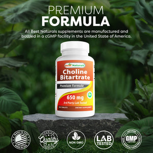 Best Naturals Choline Bitartrate 650 mg 180 Tablets
