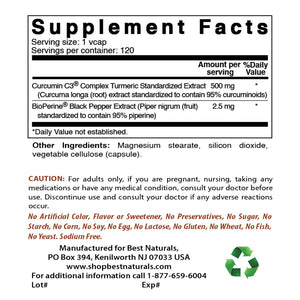 Best Naturals Turmeric Curcumin C3 Complex 500 mg 120 Veggie Capsules - shopbestnaturals.com