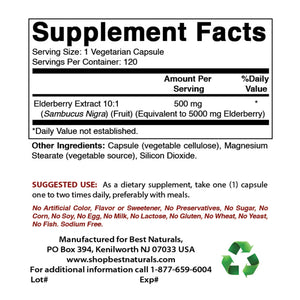 Best Naturals Elderberry 5000 mg 120 Vegetarian Capsules