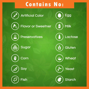 Best Naturals Vitamin B2 400 mg 120 Vegetarian Capsules - shopbestnaturals.com